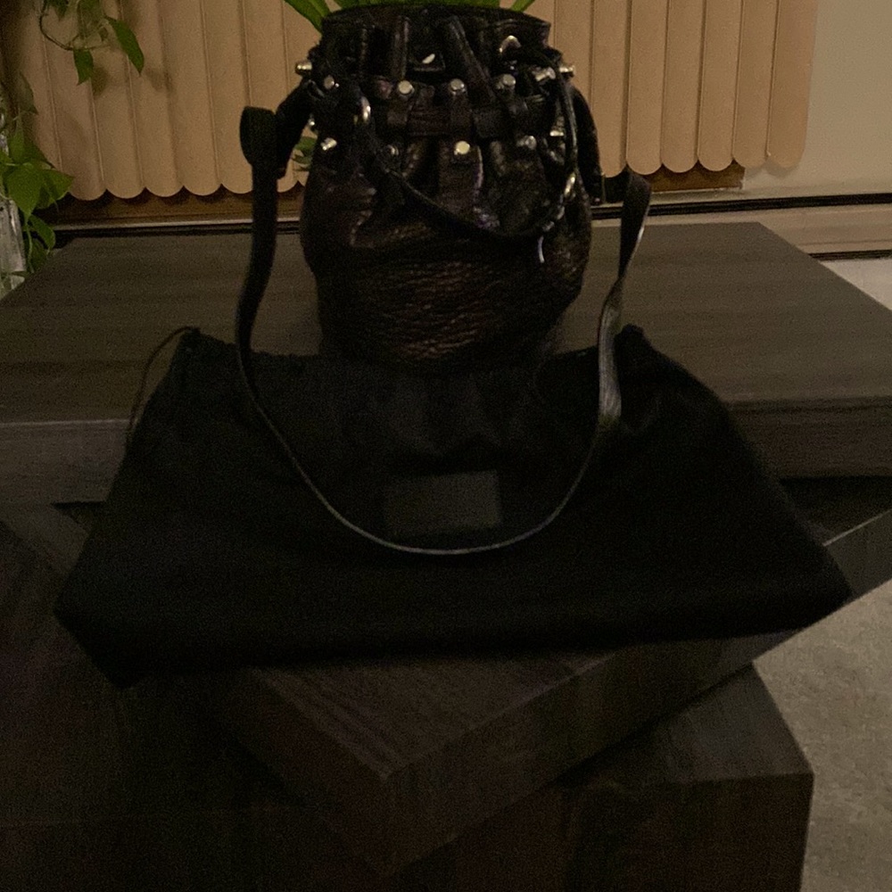 Alexander Wang bucket bag